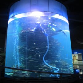 واضح الاكريليك أسطوانة خزان الأسماك الكبيرة لأحواض السمك أو المحيط بارك