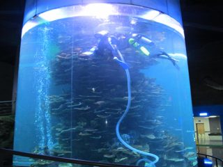 واضح الاكريليك أسطوانة خزان الأسماك الكبيرة لأحواض السمك أو المحيط بارك