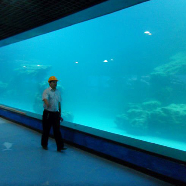 لوحة الجدار الأشعة فوق البنفسجية الاكريليك المصبوب لحوض السمك / oceanarium