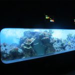 مصبوب اصطناعي أكريليك أسطواني حوض السمك الشفاف / نافذة عرض